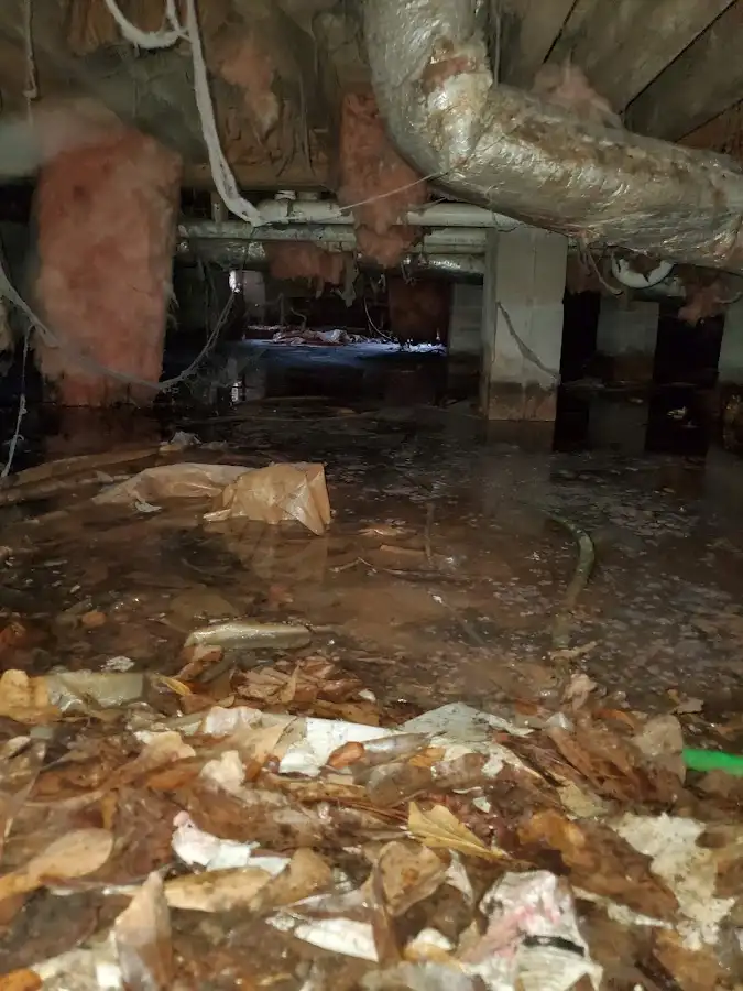 Crawl space flood assessment for Leak Detection & Repair in Hampstead