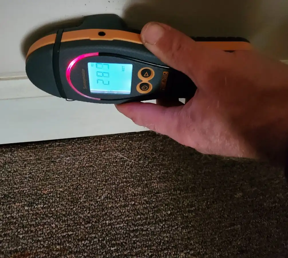 Moisture detection at baseboard during Sewage Cleanup & Sanitation in Hampstead